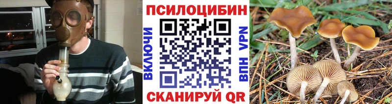 Псилоцибиновые грибы мицелий  ОМГ ОМГ как войти  Луза 