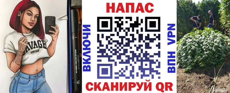 ОМГ ОМГ зеркало  Луза  Марихуана сатива  где можно купить  